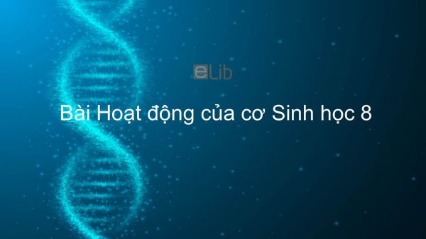 Sinh học 8 Bài 10: Hoạt động của cơ