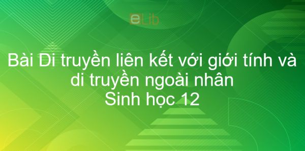 Sinh học 12 Bài 12: Di truyền liên kết với giới tính và di truyền ngoài nhân