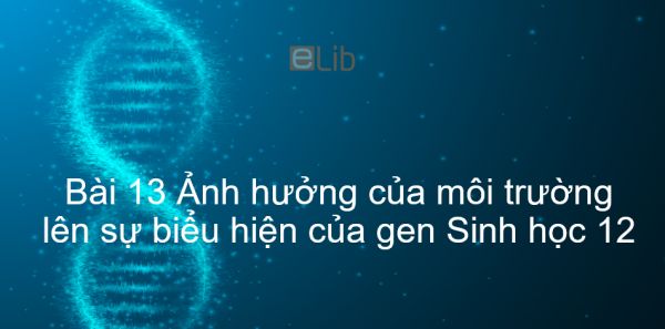 Sinh học 12 Bài 13: Ảnh hưởng của môi trường lên sự biểu hiện của gen