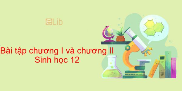 Sinh học 12 Bài 15: Bài tập chương I và chương II