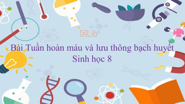 Sinh học 8 Bài 16: Tuần hoàn máu và lưu thông bạch huyết