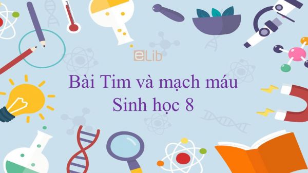 Sinh học 8 Bài 17: Tim và mạch máu