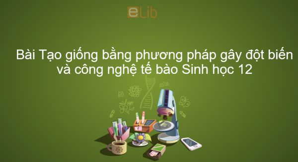 Sinh học 12 Bài 19: Tạo giống bằng phương pháp gây đột biến và công nghệ tế bào