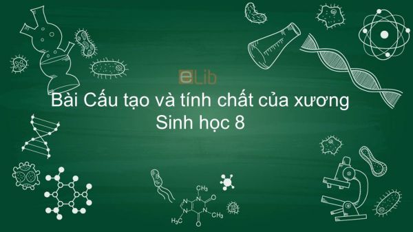 Sinh học 8 Bài 8: Cấu tạo và tính chất của xương