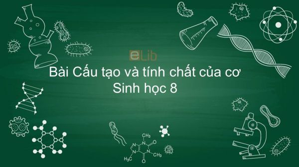 Sinh học 8 Bài 9: Cấu tạo và tính chất của cơ