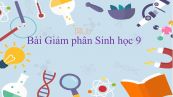 Sinh học 9 Bài 10: Giảm phân