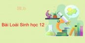 Sinh học 12 Bài 28: Loài