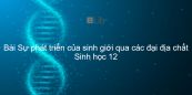 Sinh học 12 Bài 33: Sự phát triển của sinh giới qua các đại địa chất