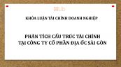 Phân tích cấu trúc tài chính tại Công ty cổ phần địa ốc Sài Gòn