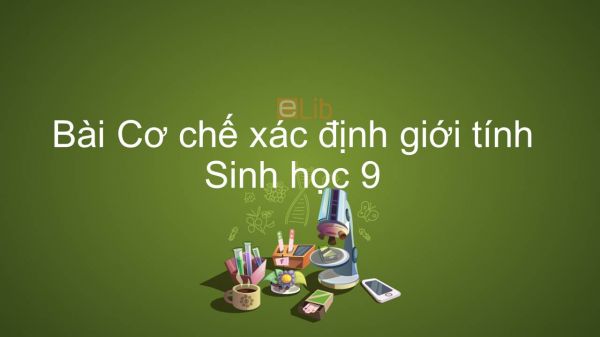 Sinh học 9 Bài 12: Cơ chế xác định giới tính