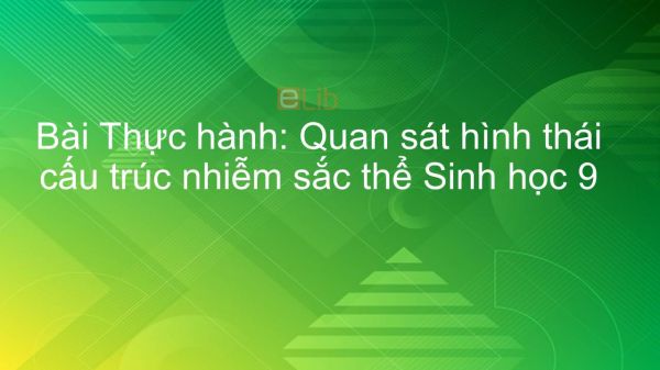 Sinh học 9 Bài 14: Thực hành: Quan sát hình thái cấu trúc nhiễm sắc thể