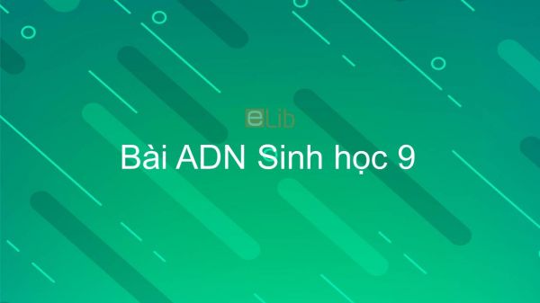 Sinh học 9 Bài 15: ADN