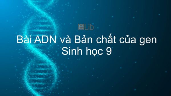 Sinh học 9 Bài 16: ADN và Bản chất của gen