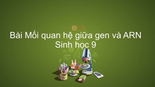 Sinh học 9 Bài 17: Mối quan hệ giữa gen và ARN