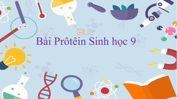 Sinh học 9 Bài 18: Prôtêin