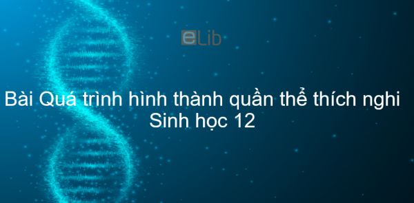 Sinh học 12 Bài 27: Quá trình hình thành quần thể thích nghi