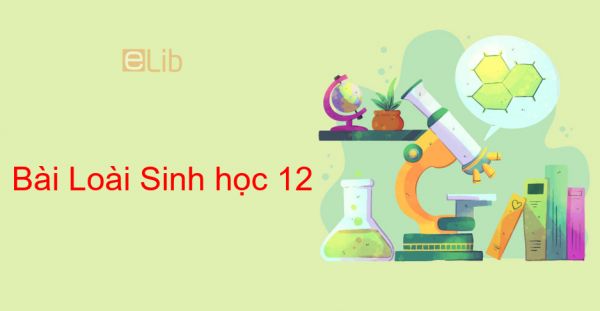 Sinh học 12 Bài 28: Loài