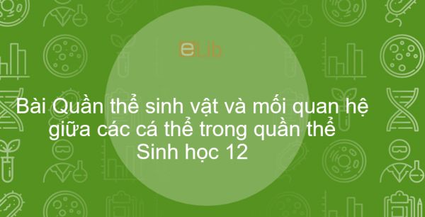 Sinh học 12 Bài 36: Quần thể sinh vật và mối quan hệ giữa các cá thể trong quần thể