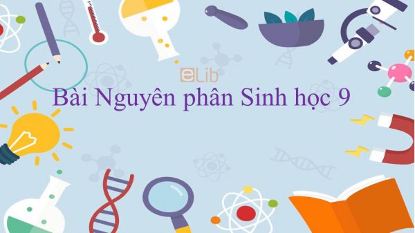 Sinh học 9 Bài 9: Nguyên phân