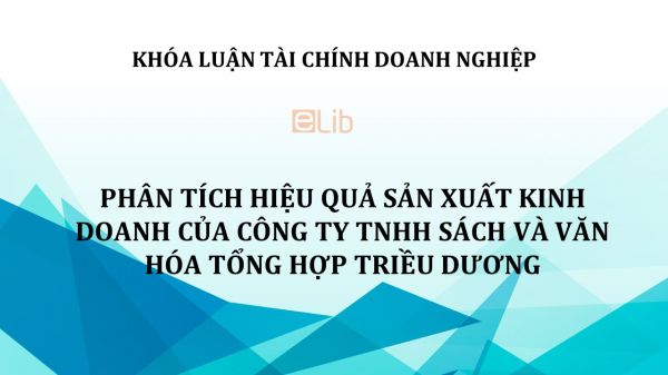 Phân tích hiệu quả sản xuất kinh doanh của Công ty TNHH sách và Văn hóa Tổng hợp Triều Dương