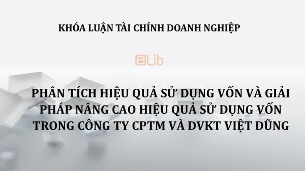 Phân tích hiệu quả sử dụng vốn và giải pháp nâng cao hiệu quả sử dụng vốn trong Công ty Cổ phần Thương mại và Dịch vụ kỹ thuật Việt Dũng