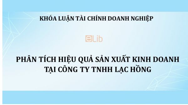 Phân tích hiệu quả SXKD tại công ty TNHH Lạc Hồng