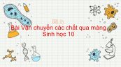 Sinh học 10 Bài 11: Vận chuyển các chất qua màng