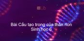 Sinh học 6 Bài 15: Cấu tạo trong của thân non