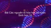 Sinh học 10 Bài 3: Các nguyên tố hóa học và nước