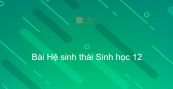 Sinh học 12 Bài 42: Hệ sinh thái