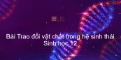 Sinh học 12 Bài 43: Trao đổi vật chất trong hệ sinh thái