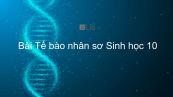 Sinh học 10 Bài 7: Tế bào nhân sơ