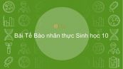 Sinh học 8: Tế bào nhân thực
