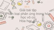 Giải bài tập SGK Hóa 10 Bài 18: Phân loại phản ứng trong hóa học vô cơ