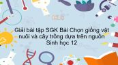 Giải bài tập SGK Sinh học 12 Bài 18: Chọn giống vật nuôi và cây trồng dựa trên nguồn biến dị và tổ hợp