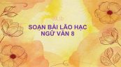 Soạn bài Lão Hạc Ngữ văn 8 tóm tắt