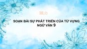 Soạn bài Sự phát triển của từ vựng Ngữ văn 9 tóm tắt