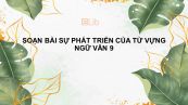 Soạn bài Sự phát triển của từ vựng Ngữ văn 9 siêu ngắn