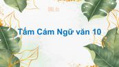 Tấm Cám Ngữ văn 10