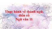 Thực hành về thành ngữ, điển cố Ngữ văn 11