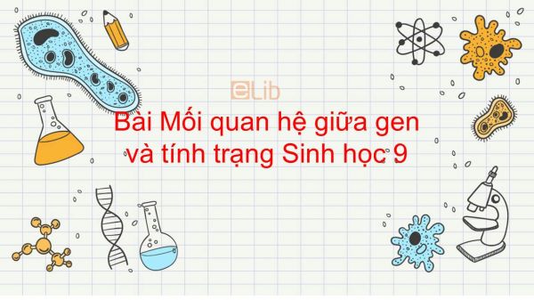 Sinh học 9 Bài 19: Mối quan hệ giữa gen và tính trạng