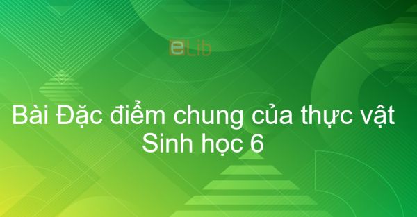 Sinh học 6 Bài 3: Đặc điểm chung của thực vật