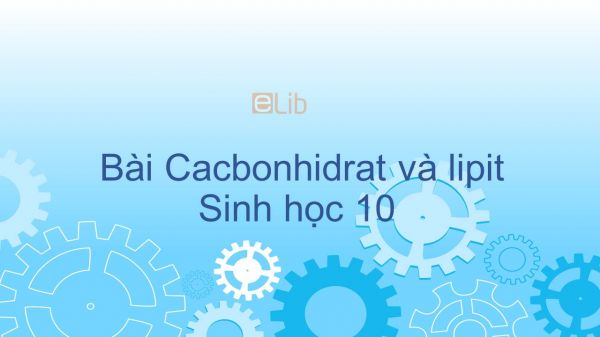 Sinh 10 Bài 4: Cacbonhidrat và lipit