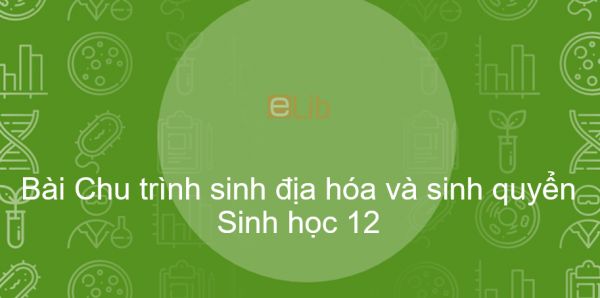 Sinh học 12 Bài 44: Chu trình sinh địa hóa và sinh quyển