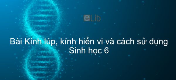 Sinh học 6 Bài 5: Kính lúp, kính hiển vi và cách sử dụng