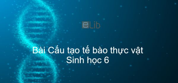 Sinh học 6 Bài 7: Cấu tạo tế bào thực vật