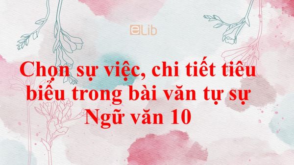 Chọn sự việc, chi tiết tiêu biểu trong bài văn tự sự