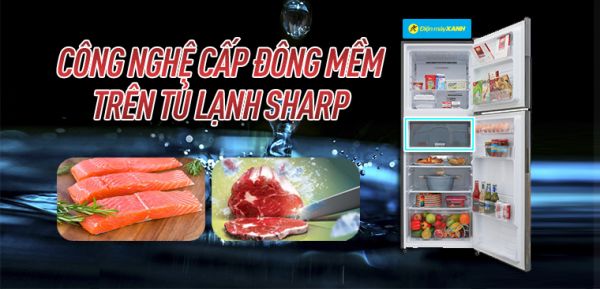 Cách sử dụng công nghệ cấp đông mềm trên tủ lạnh Sharp