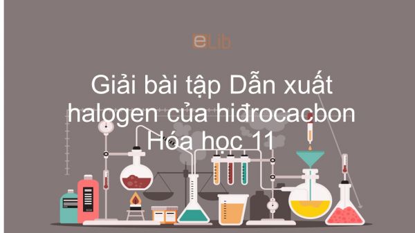 Giải bài tập SGK Hóa 11 Bài 39: Dẫn xuất halogen của hiđrocacbon
