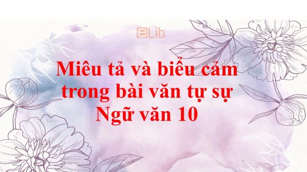 Miêu tả và biểu cảm trong bài văn tự sự